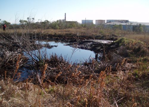 Oil pits and grass with buildings in the background.