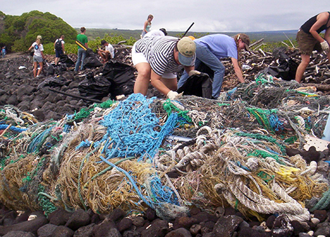 People cleaning up old fishing nets on a beach in Hawaii.