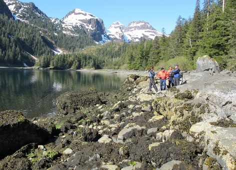 NOAA scientists observe an intertidal boulder in Prince William Sound, Alaska.