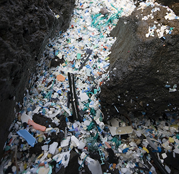 Lots of tiny pieces of plastic covering rocks.