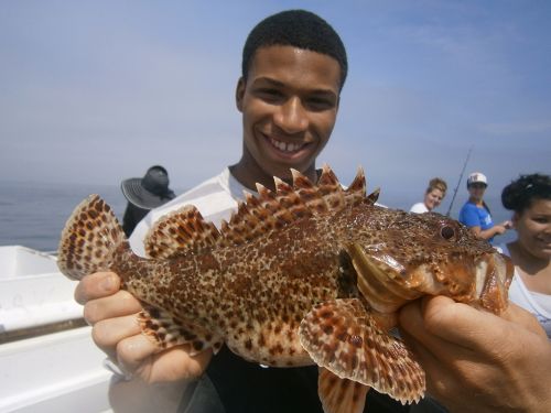 A boy holds up a scorpion fish on a boat.