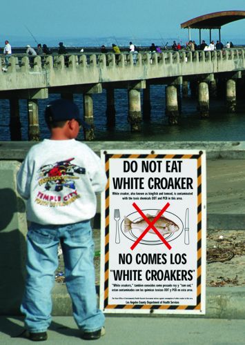 A boy stands next to a sign warning not to eat contaminated fish, with people fi