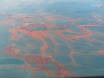Orange-brown oil on the ocean surface.