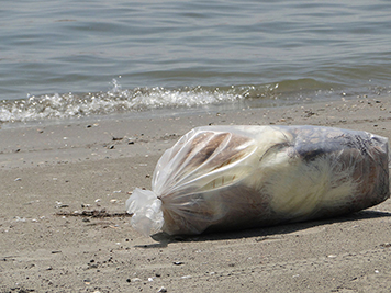 Bag of oiled waste on a beach.