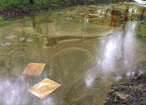 Sorbent pads soaking up orange oil on the surface of a creek.