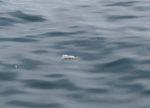 Plastic water bottle floating in the ocean.