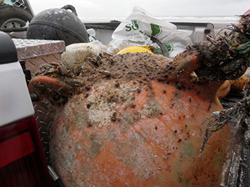 Truck bed full of plastic floats removed from the beach.