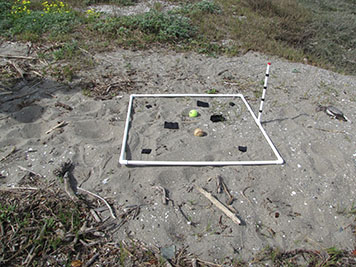 Ball and small objects inside a square of PVC pipe on a grassy sand beach.