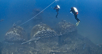 Divers and sharks swim around the shipwreck site of the Dixie Arrow.