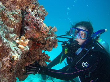 A student diver takes a break to admire a frogfish.