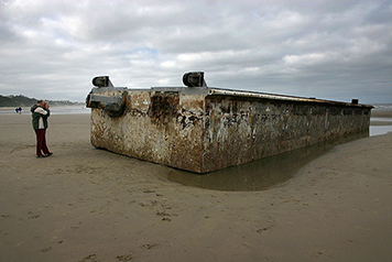 Dock washed ashore.