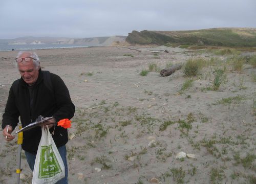 Man with clipboard and bag walking on beach.