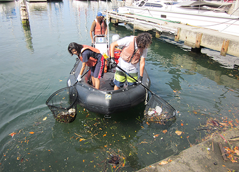 People in a boat pull trash out of a marina using nets.