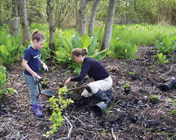 Volunteers plant vegatation to restore a section of Commencement Bay, Wash.