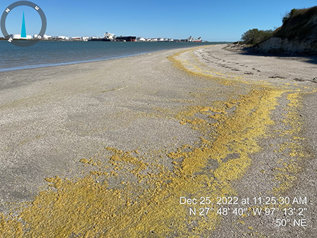 Yellowish waxy petroleum product on a shoreline in Corpus Christi, Texas on December 25, 2022.
