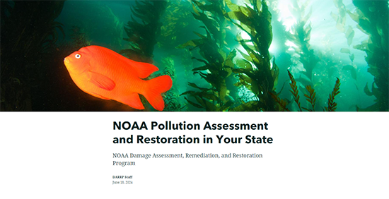A screenshot of the NOAA Pollution Assessment and Restoration in Your State ArcGIS StoryMap header which includes an orange fish swimming in a kelp forest. 