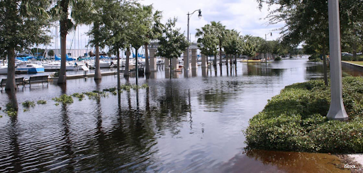 A view of flooded streets in Florida. 