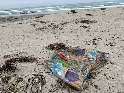 Discarded balloons located on remote Channel Islands off the coast of California. 