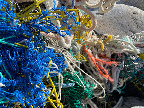 A pile of derelict fishing gear.