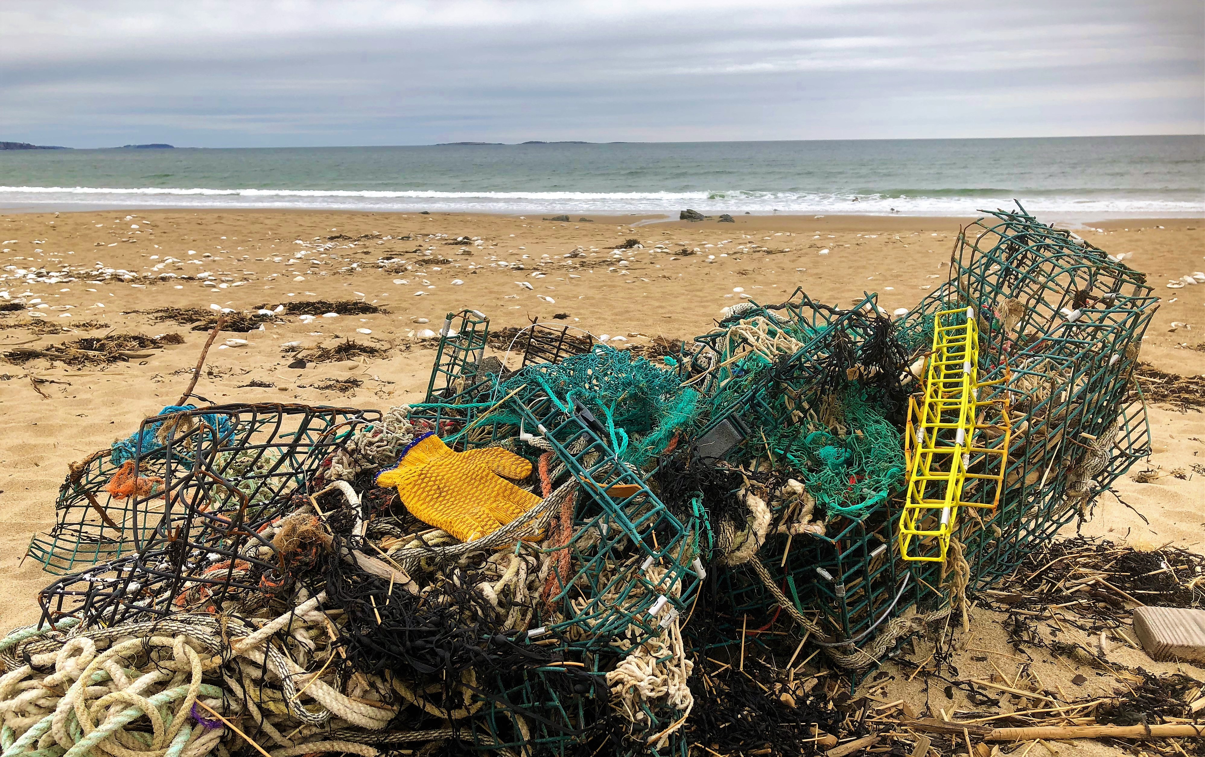 A tangled pile of derelict fishing gear on the shoreline.