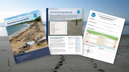 The covers of the updated Shoreline Survey Guide, forms, and photo guide embedded atop a picture of a beach landscape.