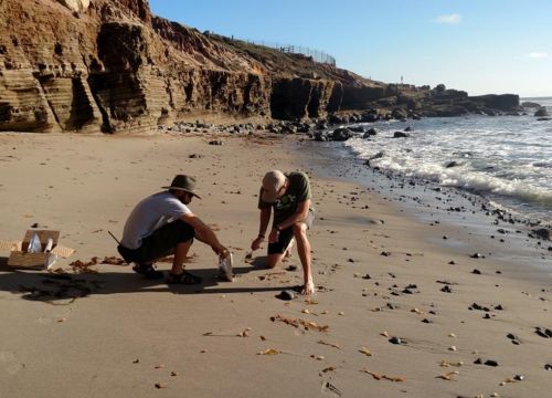 Two men picking up objects from beach. Image credit NPS.