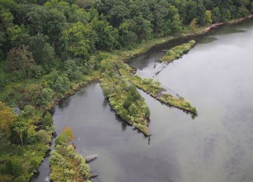 Bay shore with trees growing on old ships.