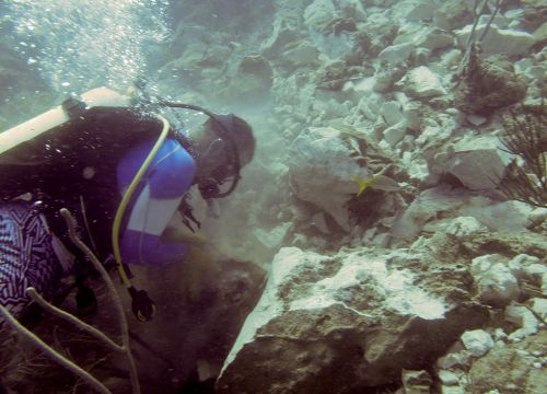 Scuba diver underwater near rocks.