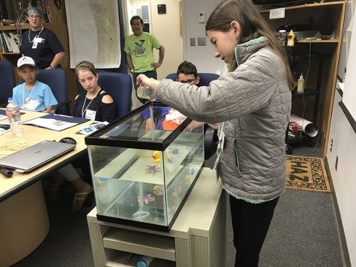 Girl in classroom pouring liquid into fish tank. Image credit: NOAA.