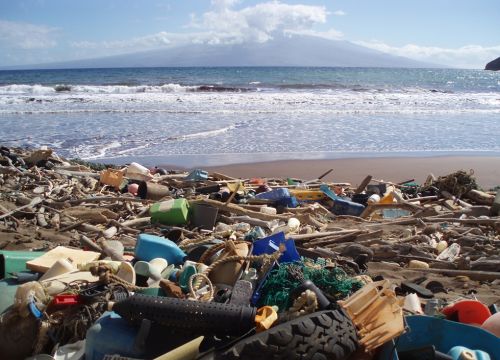 Litter on beach. Image credit: NOAA.