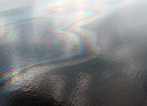Oil floating on water creating a sheen with multiple colors.