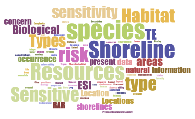 Word cloud showing most frequently used words by ESI survey respondents.