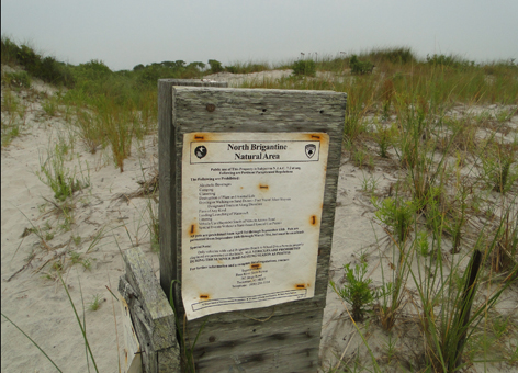 Weathered sign, "reading North Brigantine Natural Area," among beach grasses.