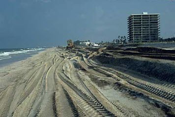 Beach with heavy equipment tracks.