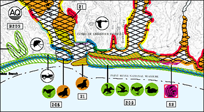 Example of shoreline and symbols on an Environmental Sensitivity Map.