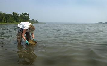 Photo: A scientist takes a water sample.