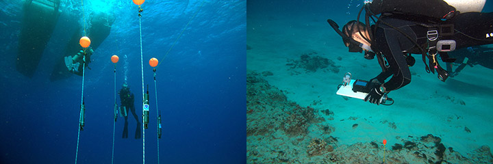 Divers float behind the transmitters for the high precision mapping equipment and a student uses a related handheld device to create maps.