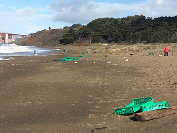 People on a beach with green plastic crates.