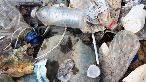 Trash such as plastic bottles, a piece of styrofoam cup, and a straw, on a beach.