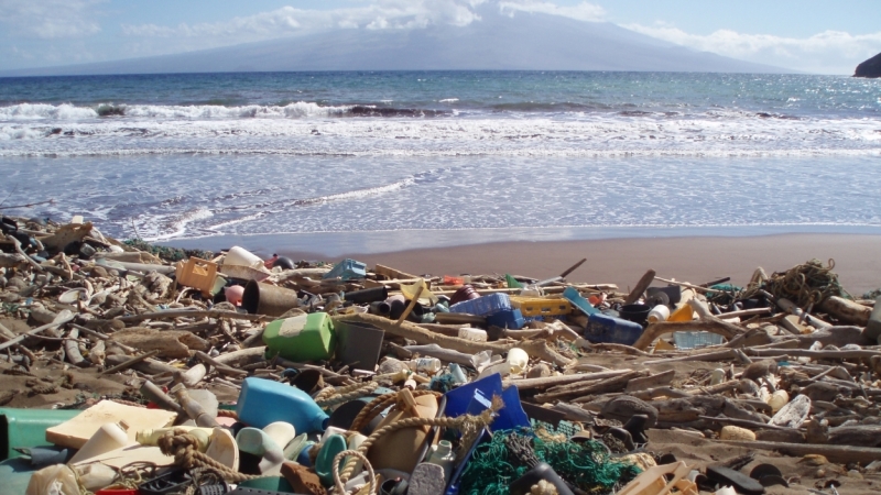 Marine debris littering a beach.