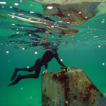 Marine Debris | Response.restoration.noaa.gov