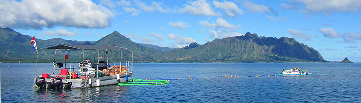 Super sucker barge with green collection hose in a tropical bay.