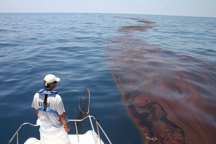A man looking off the end of a boat at oiled sargassum. 
