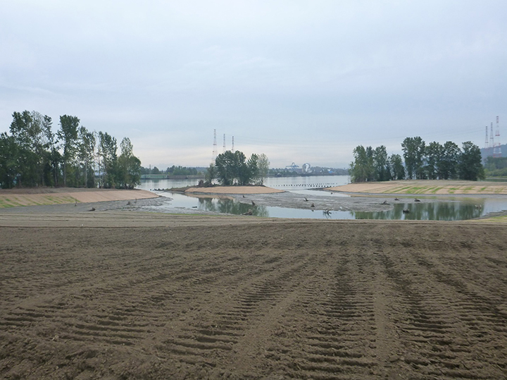 Rowed dirt field next to river channels.
