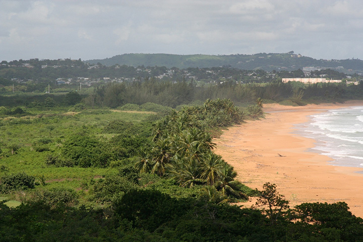 The San Miguel Natural Reserve is a mosaic of coastal habitats including near shore coral reefs, more than a mile of beachfront, intertidal areas, wetlands, coastal dry forests, and mangroves.