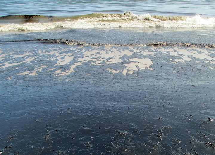 Oil washes onto a beach.