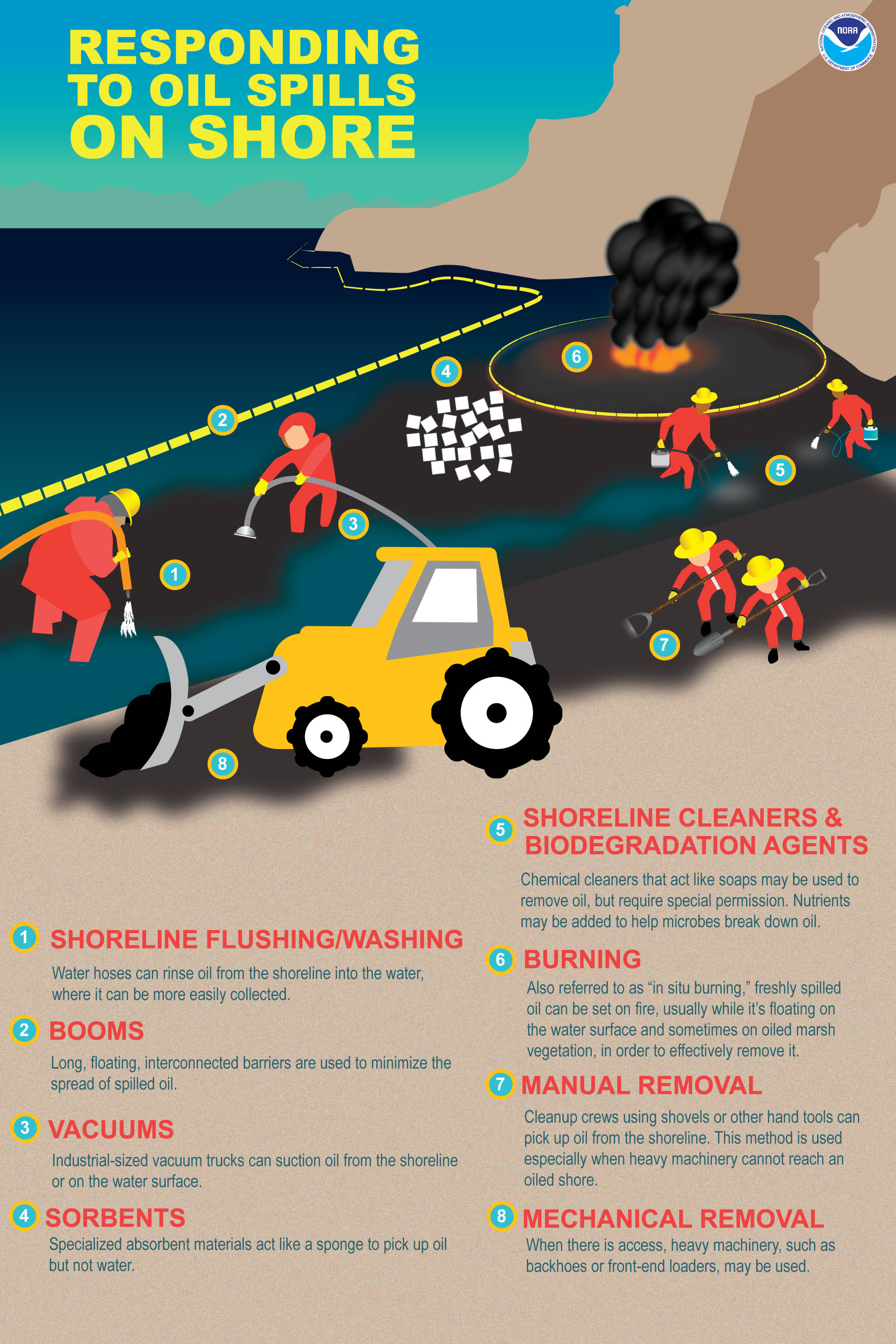 How Do Oil Spills Get Cleaned up on Shore? response.restoration.noaa.gov