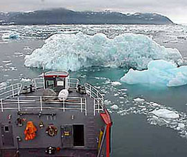 Small berg viewed from ship.