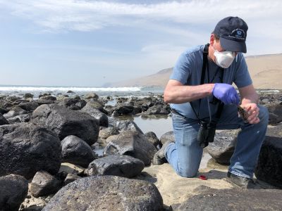 A man on a beach collecting an oil spill sample