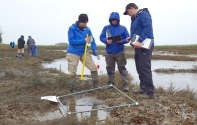 A group of people standing on a shoreline plotting out a section of the ground.